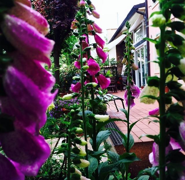 Bed And Breakfast Villa Franca Виллафранка-ди-Верона Экстерьер фото